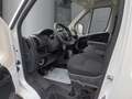 Peugeot Boxer Kasten BlueHDi 120 Gewerbekundepreis  Kasten Weiß - thumbnail 7
