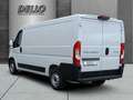 Peugeot Boxer Kasten BlueHDi 120 Gewerbekundepreis  Kasten Weiß - thumbnail 3