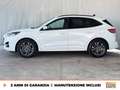 Ford Kuga 2.5 full hybrid st-line 2wd 190cv cvt Blanc - thumbnail 4