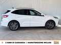 Ford Kuga 2.5 full hybrid st-line 2wd 190cv cvt Blanc - thumbnail 6