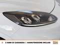 Ford Kuga 2.5 full hybrid st-line 2wd 190cv cvt Blanc - thumbnail 14