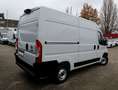 Fiat Ducato Fiat Ducato Kasten 350 L2H2 Tempomat/NAVI/Kamera Weiß - thumbnail 14