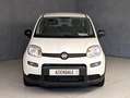 Fiat Panda 1.0 HYBRID 70CV Bianco - thumbnail 3