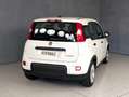 Fiat Panda 1.0 HYBRID 70CV Bianco - thumbnail 12