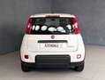 Fiat Panda 1.0 HYBRID 70CV Bianco - thumbnail 13