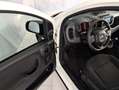 Fiat Panda 1.0 HYBRID 70CV Bianco - thumbnail 16