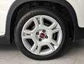 Fiat Panda 1.0 HYBRID 70CV Bianco - thumbnail 4