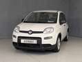 Fiat Panda 1.0 HYBRID 70CV Bianco - thumbnail 2