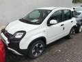 Fiat Panda 1.0 GSE Hybrid MY22 Cross City Sitzheizung Weiß - thumbnail 1