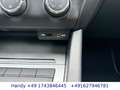 Skoda Octavia 2.0 TDI Edition/AHK/TÜV 07.26/1.HAND/TOP Blau - thumbnail 22