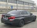 BMW 530 530d xDrive Sport-Aut. Luxury Line Grigio - thumbnail 6