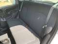 Fiat Panda 1.0 FireFly S&S Hybrid Gris - thumbnail 13