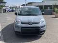 Fiat Panda 1.0 FireFly S&S Hybrid Gris - thumbnail 3
