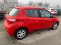 Toyota Yaris Yaris 5p 1.5h Active Rosso - thumbnail 6