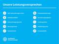 Volkswagen Golf VIII 1.5 TSI Life Kamera/H&K/ACC/LED/App-Connect Grau - thumbnail 8