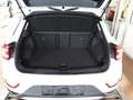 Volkswagen T-Roc 1.5 TSI DSG Style AHK/Kamera/Pano/Navi/ACC/Matrix/ Weiß - thumbnail 12