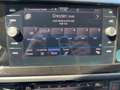 Volkswagen T6.1 Multivan 2.0 TDI DSG LED Navi AHZV Kamera Grigio - thumbnail 8
