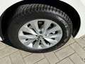Skoda Kamiq Kamiq 1.0 g-tec Ambition 90cv Bianco - thumbnail 14