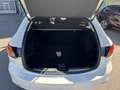 Mazda 6 2.5 194 HOMURA/BOSE/HUD/SUNROOF Alb - thumbnail 7