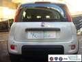 Fiat Panda 1.0 FireFly S&S Hybrid Pandina Urban Km 0 Wit - thumbnail 8