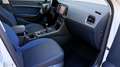 SEAT Ateca Style/NAVI/AHK/ASISS/ALU/II HAND Blanc - thumbnail 12
