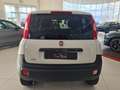 Fiat Panda 4x4 1.3MJT 80CV *INTROVABILE* Bianco - thumbnail 6