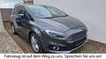 Ford S-Max Titanium 2.0 Eco Blue ACC_LED_Cam_7-Sitzer Grau - thumbnail 1