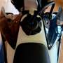 Triumph - thumbnail 18