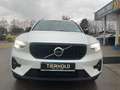 Volvo XC40 T5 Plus Dark Plug-In 2WD ACC 360° Parklenk. Weiß - thumbnail 10
