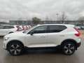 Volvo XC40 T5 Plus Dark Plug-In 2WD ACC 360° Parklenk. Weiß - thumbnail 4