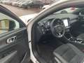 Volvo XC40 T5 Plus Dark Plug-In 2WD ACC 360° Parklenk. Weiß - thumbnail 15
