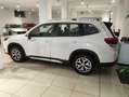 Subaru Forester 2.0 e-Boxer MHEV CVT Lineartronic Free Weiß - thumbnail 16
