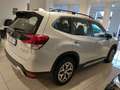 Subaru Forester 2.0 e-Boxer MHEV CVT Lineartronic Free Weiß - thumbnail 3