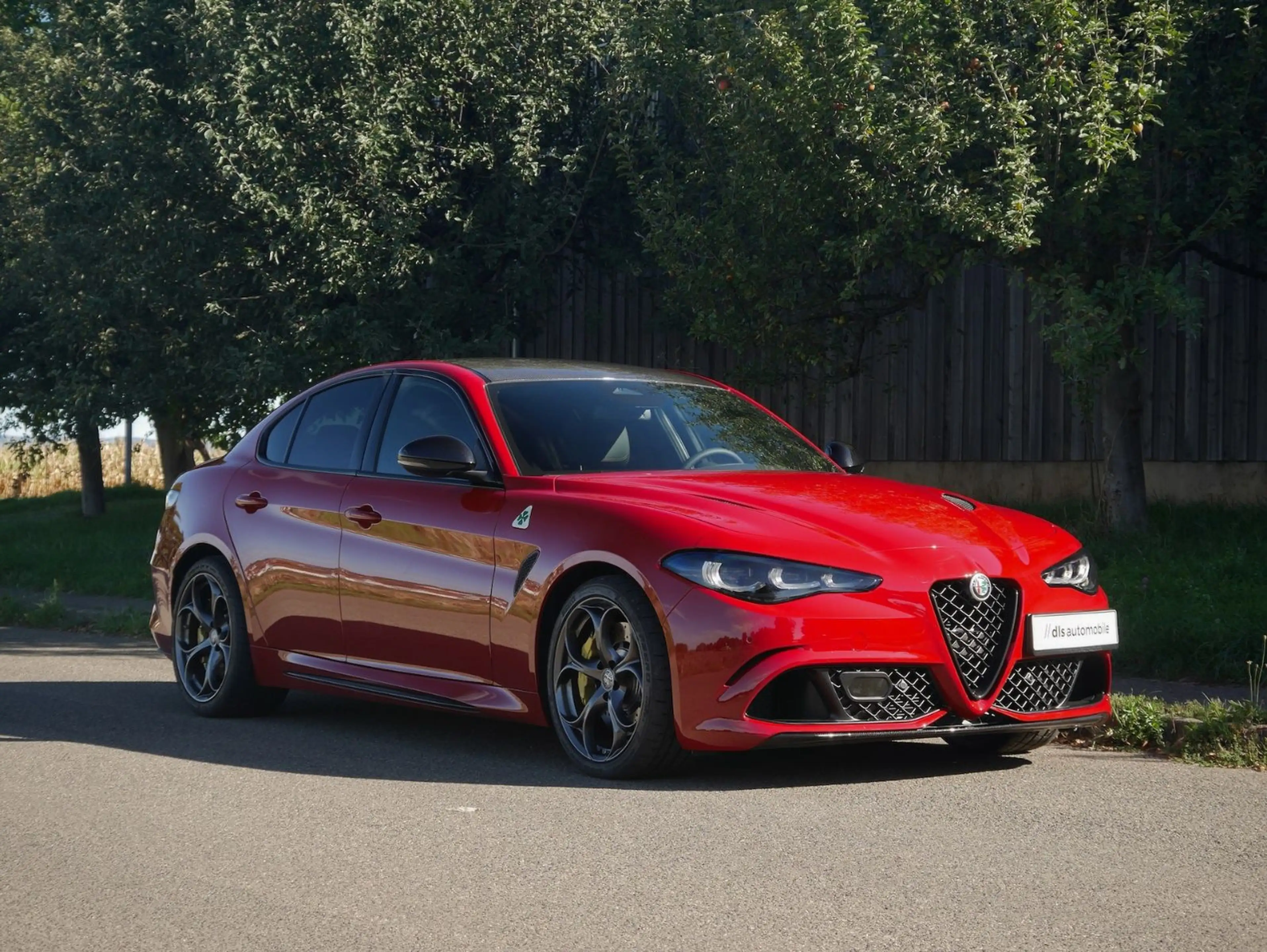 Alfa Romeo Giulia Quadrifoglio Oro //1 of 83//Carbon//Akrapovic! — photo 2
