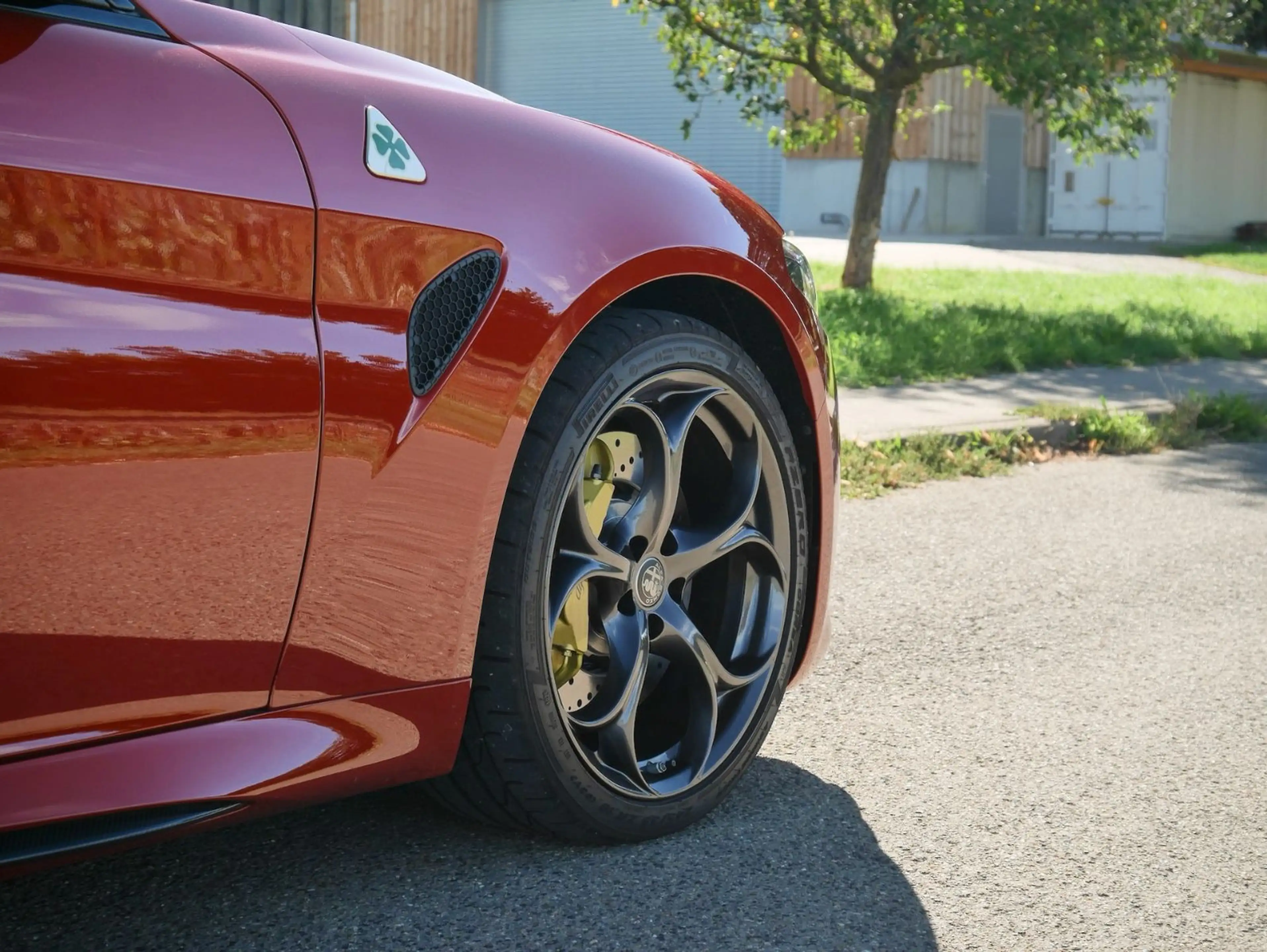 Alfa Romeo Giulia Quadrifoglio Oro //1 of 83//Carbon//Akrapovic! — photo 12