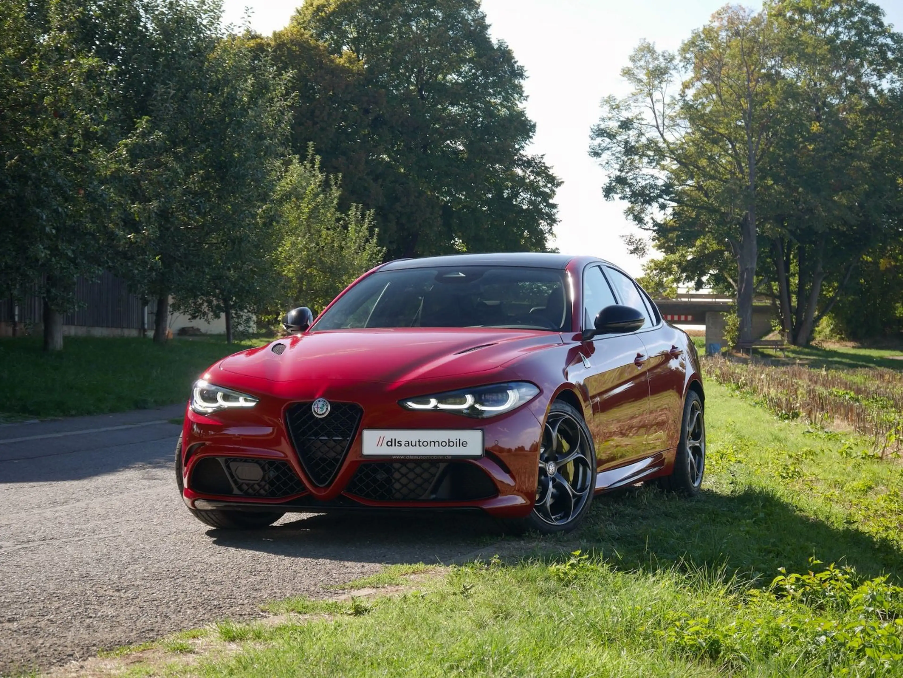 Alfa Romeo Giulia Quadrifoglio Oro //1 of 83//Carbon//Akrapovic!