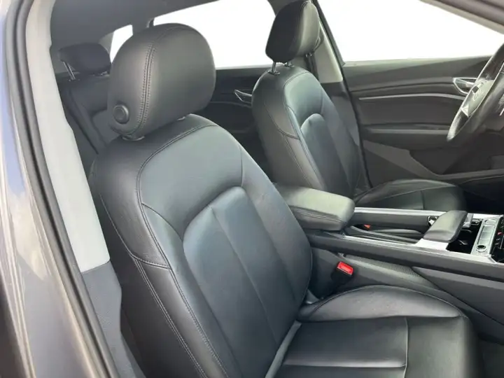 Audi e-tron 50 quattro Advanced 2020, foto 13