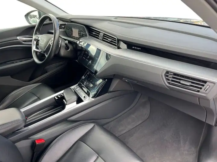 Audi e-tron 50 quattro Advanced 2020, foto 14