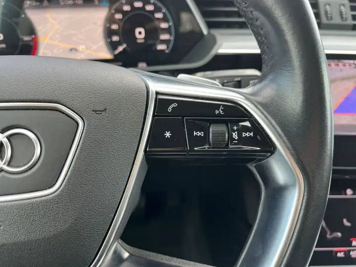 Audi e-tron 50 quattro Advanced 2020, foto 19
