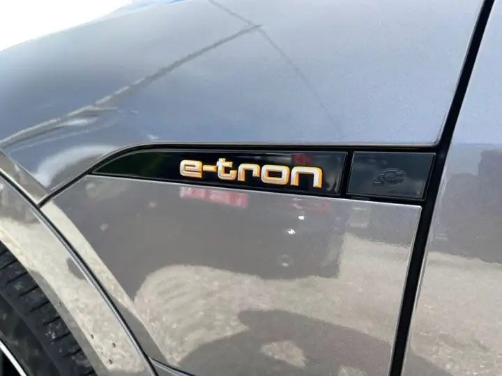 Audi e-tron 50 quattro Advanced 2020, foto 20