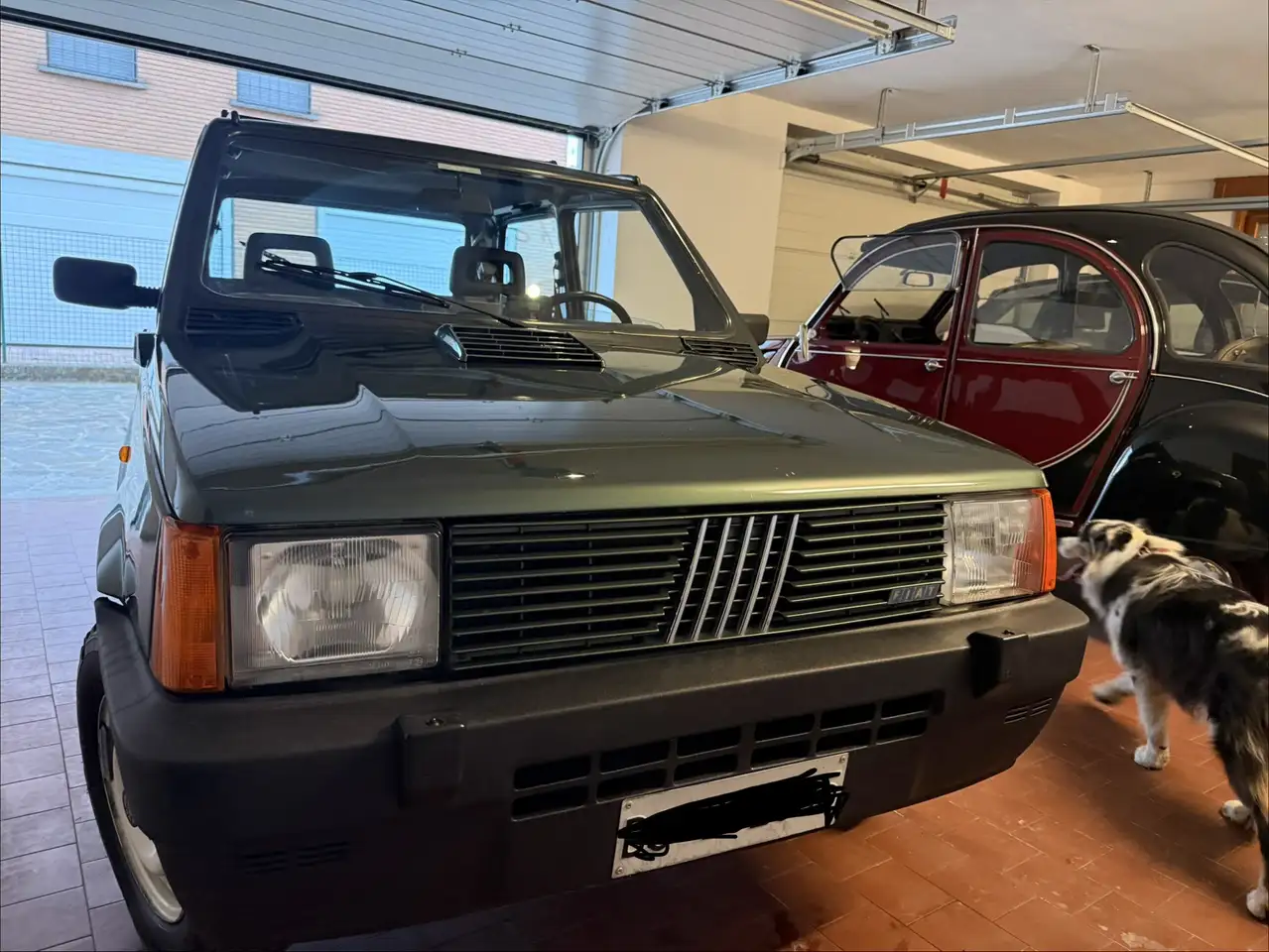 Fiat Panda 4x4 Sisley, foto 4