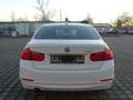 BMW 316 3er Diesel 316d*PDC*XENON*SITZHEIZUNG*TÜV NEU Weiß - thumbnail 4