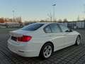 BMW 316 3er Diesel 316d*PDC*XENON*SITZHEIZUNG*TÜV NEU Weiß - thumbnail 3