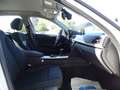 BMW 316 3er Diesel 316d*PDC*XENON*SITZHEIZUNG*TÜV NEU Weiß - thumbnail 10