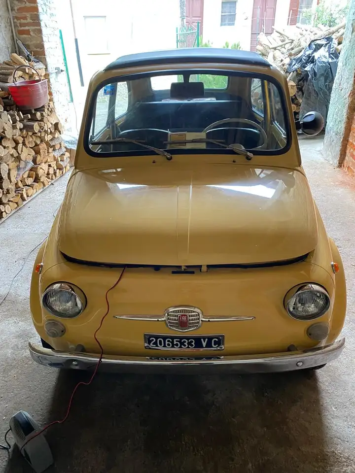Fiat 100F, foto 1