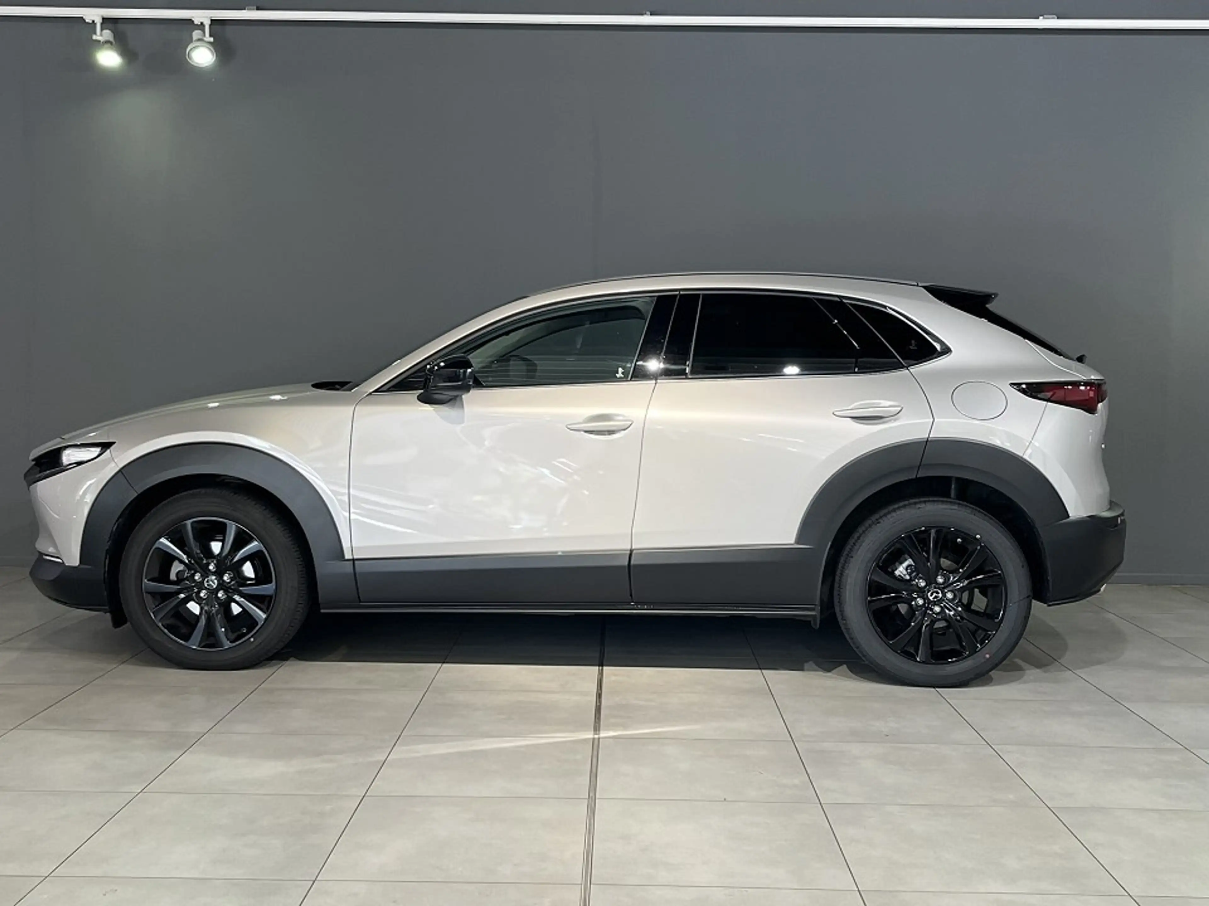 Mazda CX-30 5WGN 2.0L e-SKYACTIV X 186ps 6AT FWD Nagisa — photo 3