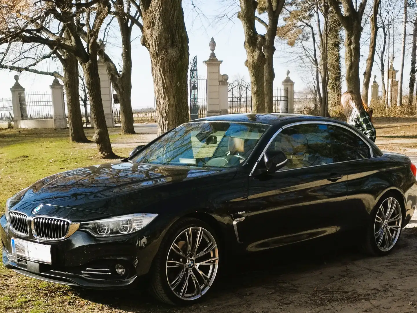 BMW 420 420d Cabrio Luxury Line Aut. Luxury Line Schwarz - 1