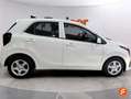 Kia Picanto 1.0 GDi Concept Blanco - thumbnail 9
