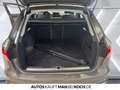 Audi A4 Avant 40 TFSI quattro advanced AHK+SPUR+CAM LED Gris - thumbnail 14