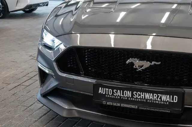 Ford Mustang view 11